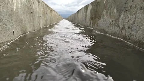 The water flows quietly and clear in the river Stock Footage 231682700