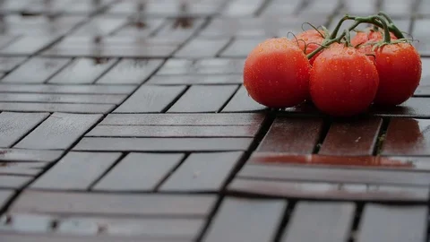 Water flows on red tomatoes. Stock Footage