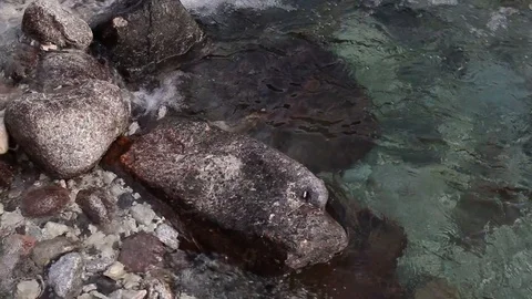 Water flows on the river Video stock 87562588