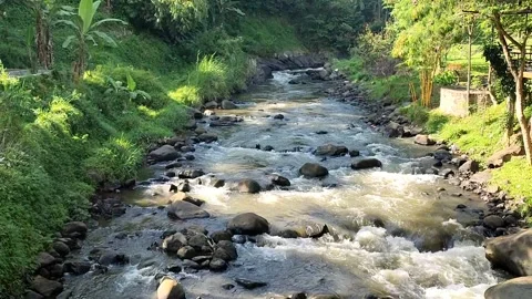 Water flows in a river Video stock 285256235