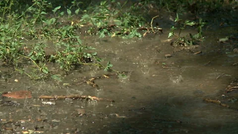 Water flows from a rusty water pipe. Water accident Stock Footage 136652790