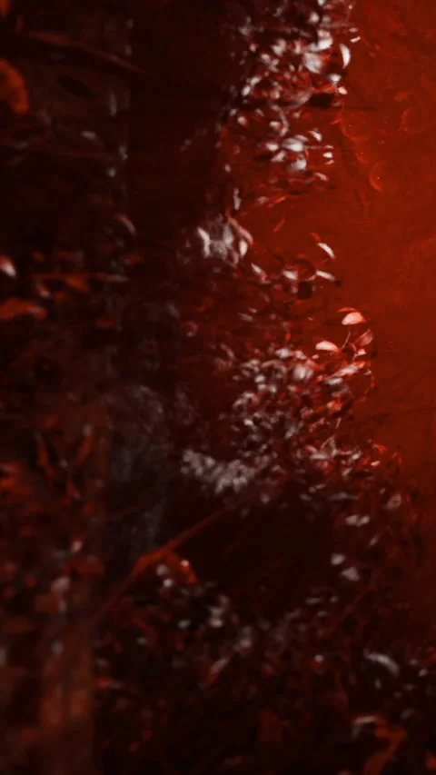 Water flows in shades of red with debris in dark surrounding area Stock Footage 332213148