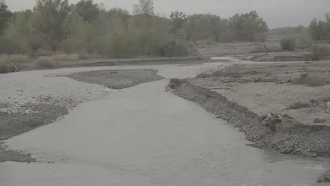 Water flows, the shore is covered with small pebbles Stock Footage 276967356