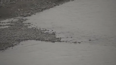 Water flows, the shore is covered with small pebbles Stock Footage 276967475