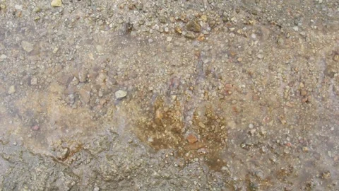 The water flows slowly at the shallow stream. 動画素材 250766104
