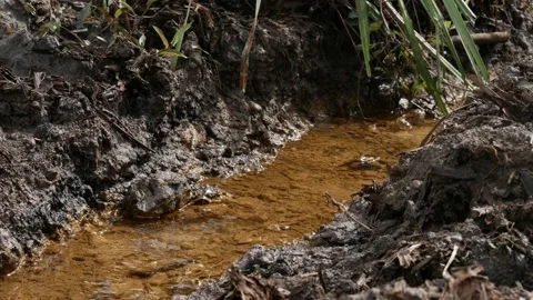 Water flows on small drainage ditch in peat bogs Stock Footage 159267738