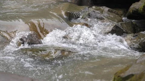 Water flows of a small mountain river in the forest, Carpathians, Ukraine Stock-Footage 260802574