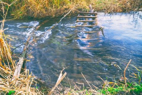 Water flows in a small river Stock Photos