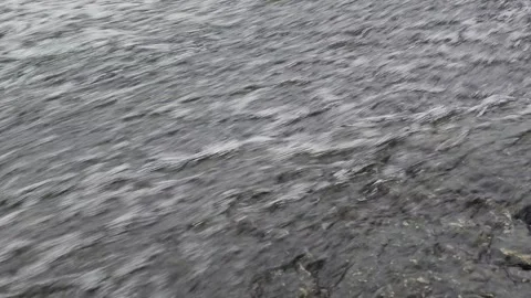 Water Flows Smoothly on the River Stock Footage 295350777