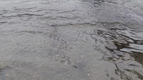 Water Flows Smoothly on the River Stock Footage 295350925