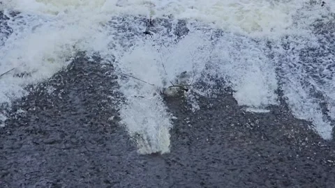 Water Flows Smoothly on the River Stock Footage 295351977