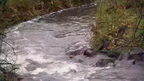 Water flows with sound Video stock 75388947