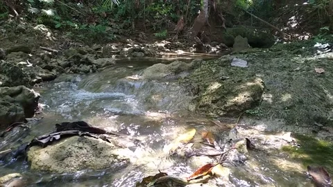 Water Flows Sound Stock Footage 152362065