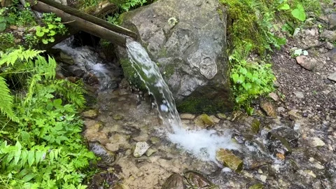 Water that flows from the spring in the mountains and descends through a gutter Stock Footage 251667833