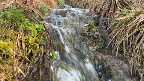 Water flows in the stream Video stock 231635296