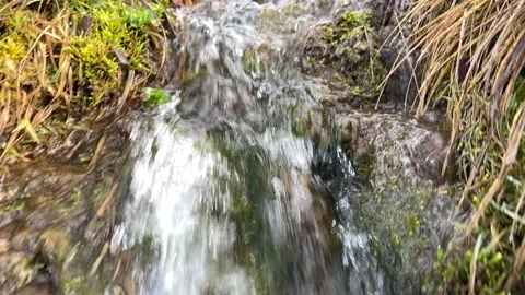Water flows in the stream Stock Footage 231691844