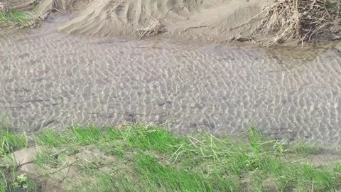 Water flows in stream Stock Footage 330429277