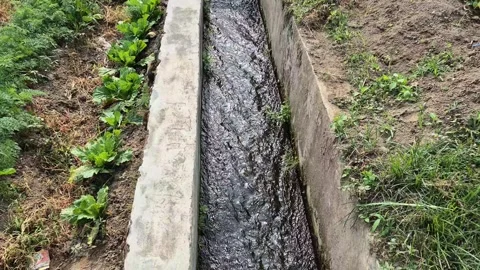 Water flows through canal Vidéo 348231121