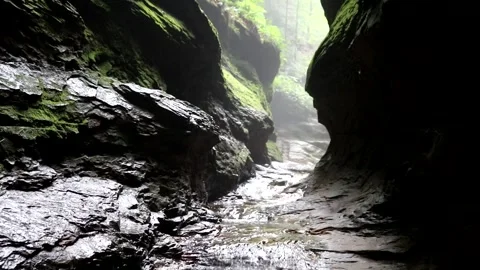 Water flows through a damp and dark mossy crevice 動画素材 338190960