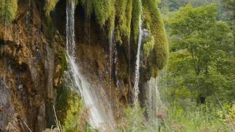 Water flows through green plants. Splashes and drops of waterfall. Plitvice Stock-Footage 125639827