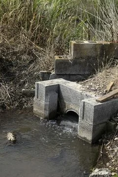 Water flows through an old concrete sluice gate in an agricultural wetland .. Fotos Stock