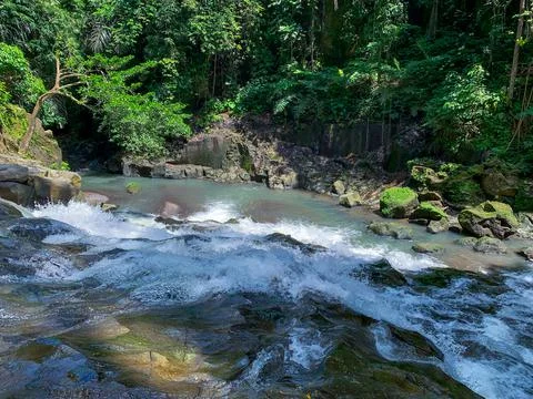 The water flows through the rocks in the middle of the forest. Small waterfal Stock Photos