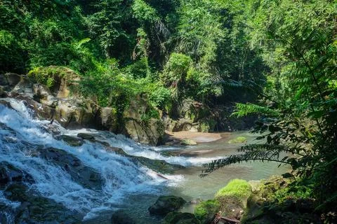 The water flows through the rocks in the middle of the forest. Small waterfal Stock Photos