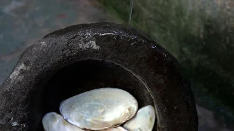 Water flows through the round rock and seashell. Stock Footage 169436452
