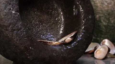 Water flows through the round rock and seashell. Stock Footage 169436456