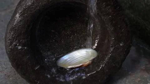 Water flows through the round rock and seashell. Stock Footage 169436459