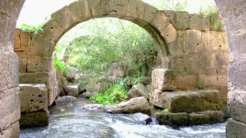 Water flows through the ruins of an old mill in the middle of nature Stock Footage 164258797