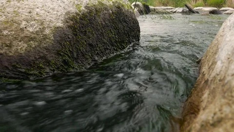 Water flows through the stones Stock Footage 81189739