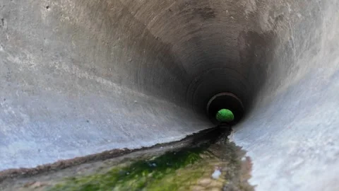 Water flows through the storm drain, revealing nature's green beauty Video stock 344819373