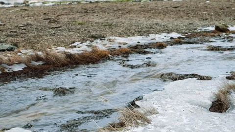 Water flows through thawing stream snow ice Stock Footage 112045845