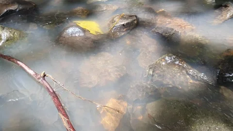 Water flows from top to bottom Stock Footage 303544630