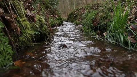Water flows towards the camera in slow motion in a tiny stream. Video stock 224629235