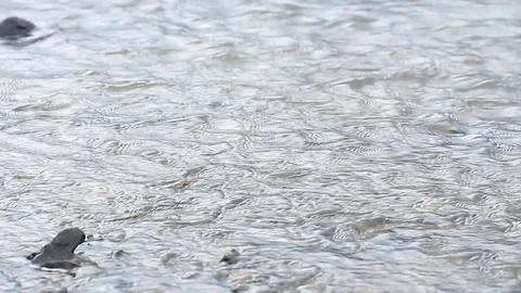 Water flows under pressure at hydroelectric dams. Stock Footage 76506829