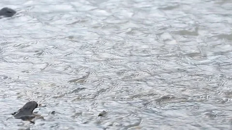 Water flows under pressure at hydroelectric dams. Stock Footage 76506941
