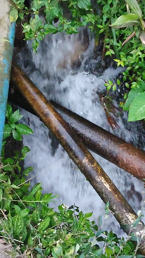 Water flows from upstream to downstream Video stock 233686251