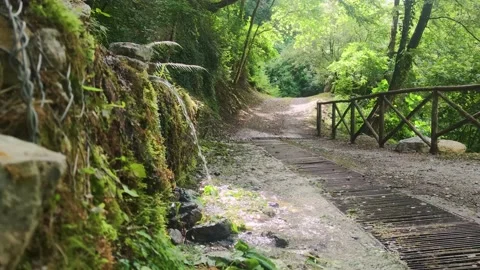 Water flows from a wall against the backdrop of tropical vegetation in a park. Stock Footage 203895879