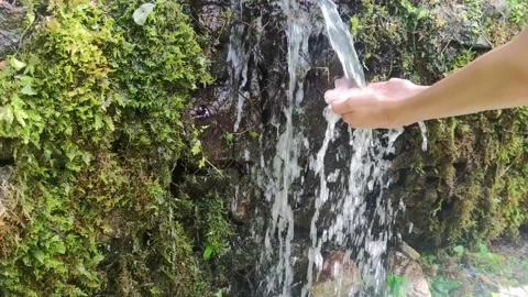 Water flows from a wall against the backdrop of tropical vegetation in a park. Stock-Footage 203895909