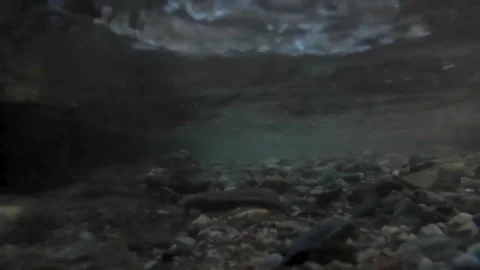 Water Fluid 1 Video stock 78880791