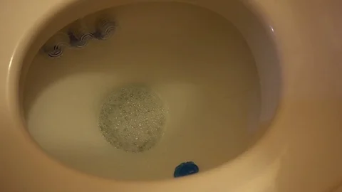 Water flush white toilet,shooting at close range Stock-Footage 75913680