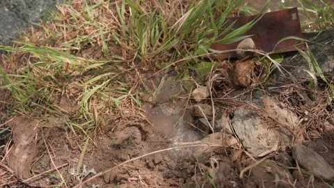 Water Flushing into Muddy Hole Surrounded by Soil and Grass Stock Footage 316949418