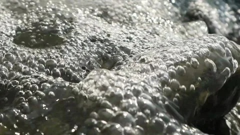 Water foam Stock Footage 341319260