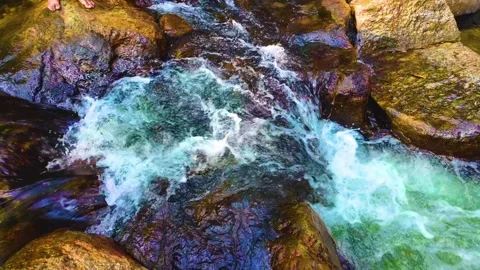 Water Foam in the Forest - Slow Motion Stock Footage 264353749