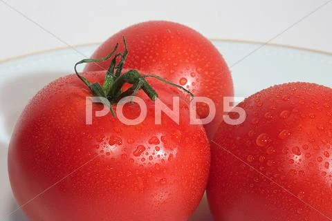 Water Food Fresh Health Natural Plate Red Tomato