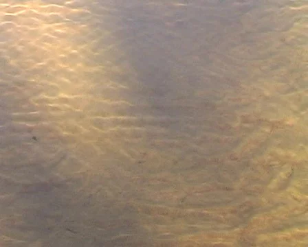 Water Stock Footage 142345