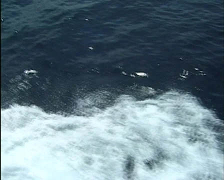 Water 库存影片 288666