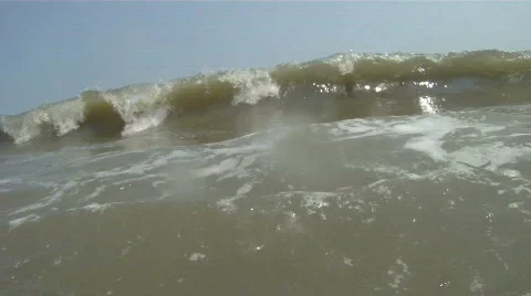 In the Water 스톡 동영상 728569